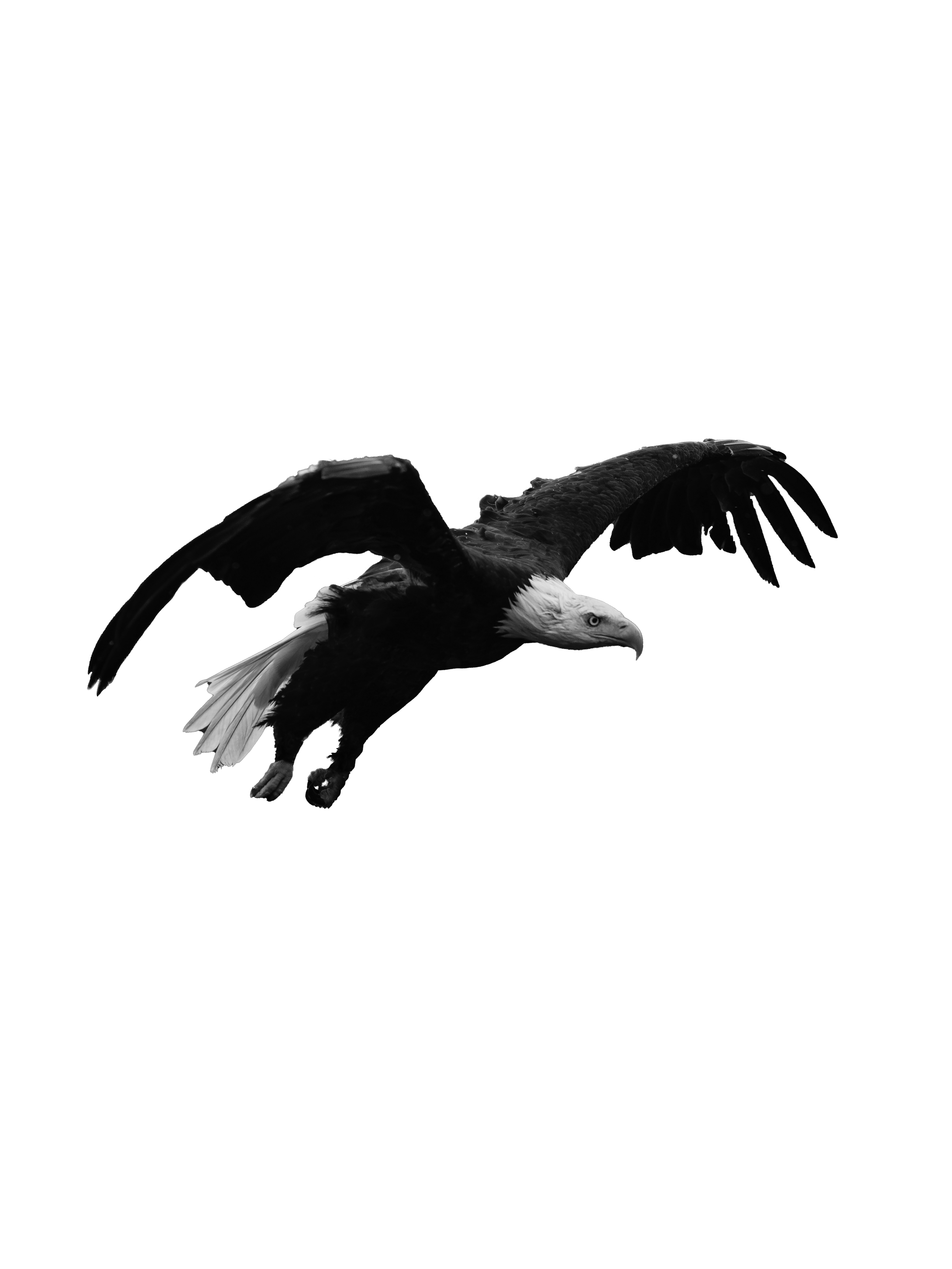 American Eagle